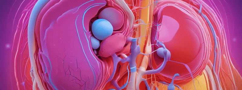 Enlarged Kidney Causes Quiz