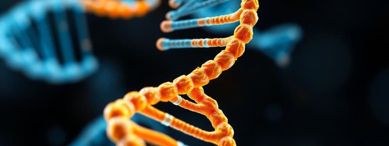 DNA and RNA Structure Quiz