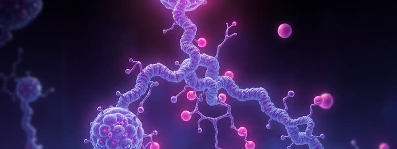 Biochemistry Nucleic Acid Metabolism