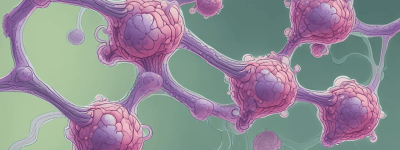 Surface Tension in Alveoli