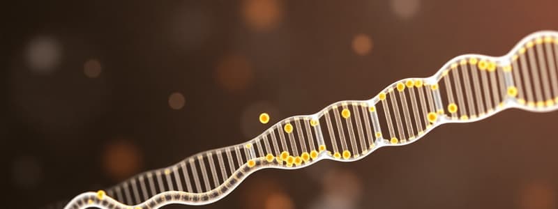 DNA Sequence Analysis Quiz