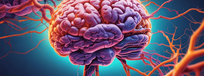 Neurology: Key Terms and Concepts Quiz