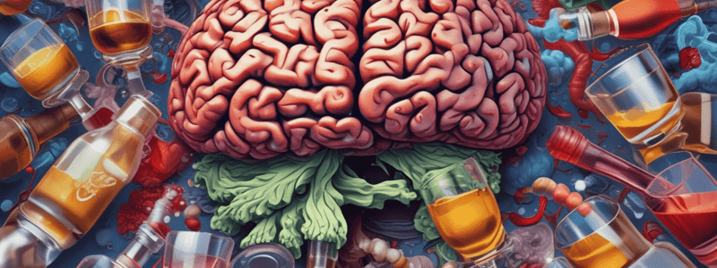 Alcohol and Brain Function Quiz