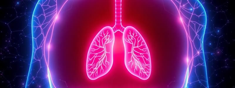 Respiratory System Quiz