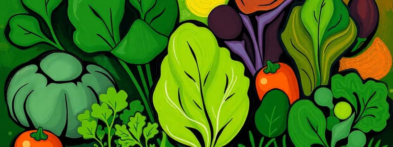 Vegetable Classification Quiz