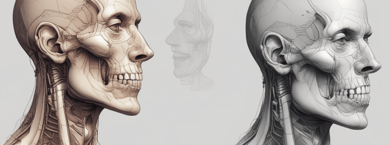 Anatomy of the Head and Neck: Mastication and TMJ