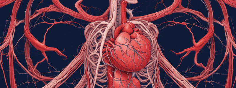 Cardiovascular System Quiz: Blood Vessels and Cardiac Cycle