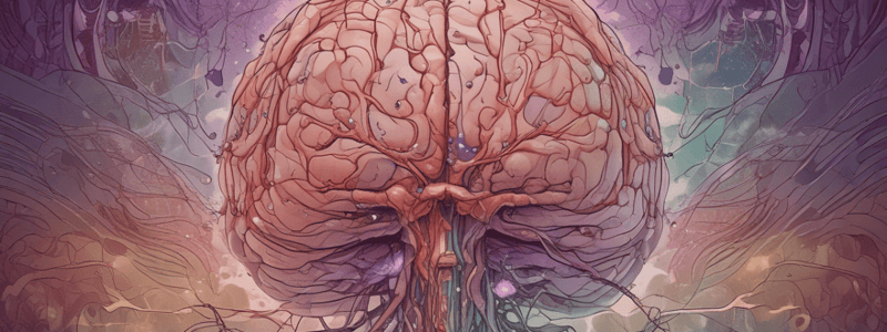 Epilepsie et perte d'état de conscience : Classification des Crises Épileptiques