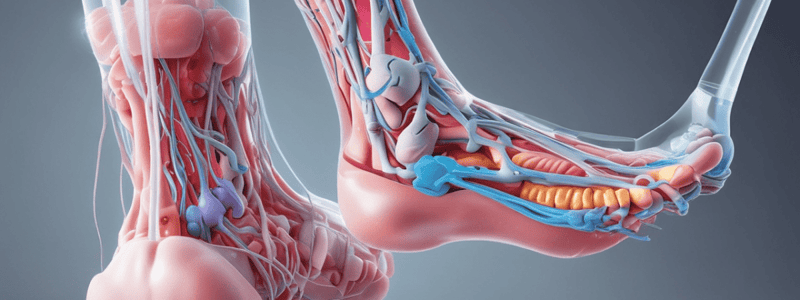 Post-Operative Infection I & II Quiz