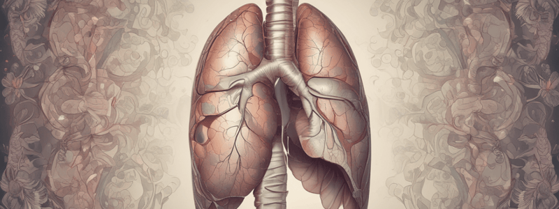 Lung Cancer and Respiratory Diseases