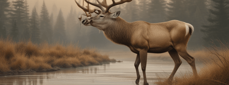 Licensing and Restrictions for Hunting Season 2022-2023