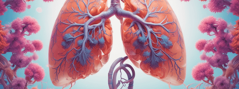 Respiratory System Terminologies