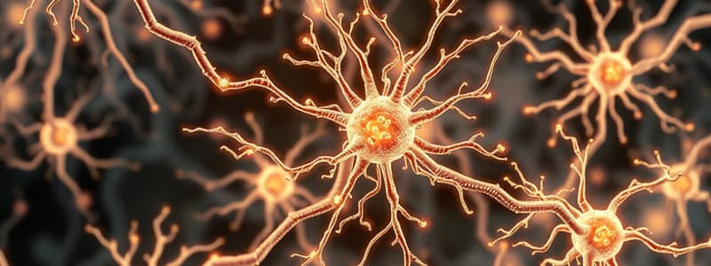 Neurobiology Quiz: Nervous System Functions