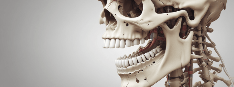 Temporomandibular Articulation Quiz