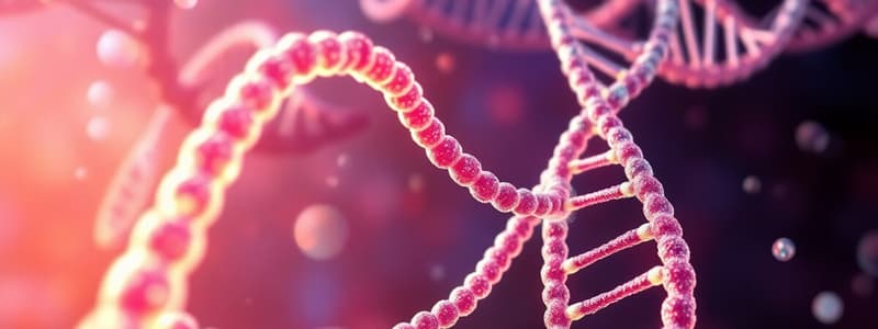 Nucleic Acids: Definitions and Types