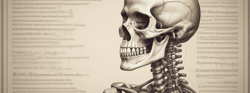 Bone Anatomy and Functions