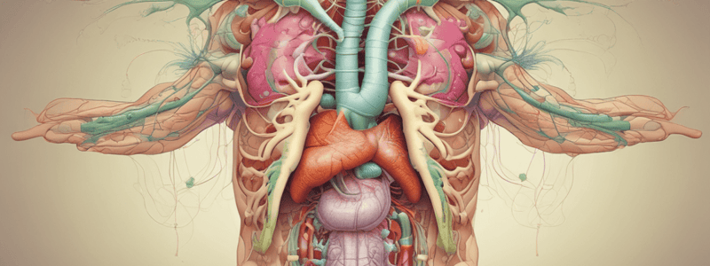 MBBS Year 1 Gastrointestinal Lectures: Bile and Biliary System