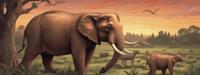 Endangered and Extinct Animals Quiz