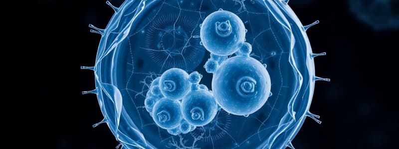 Meiosis and Mitosis Overview