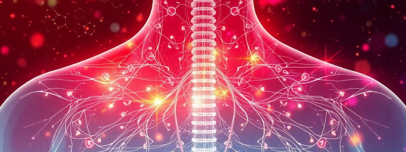 Hormones Thyroïdiennes