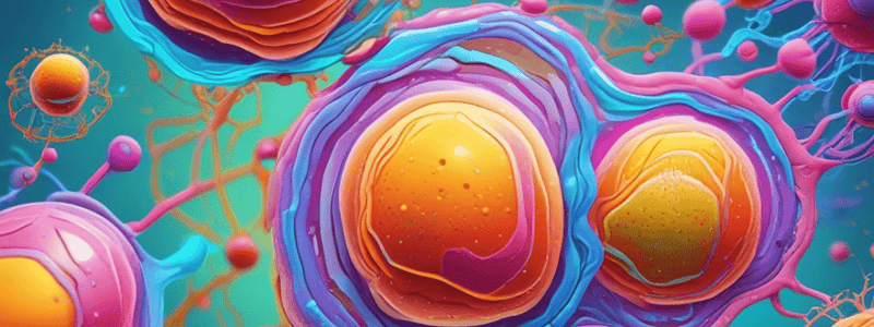 Cell Nucleus Function