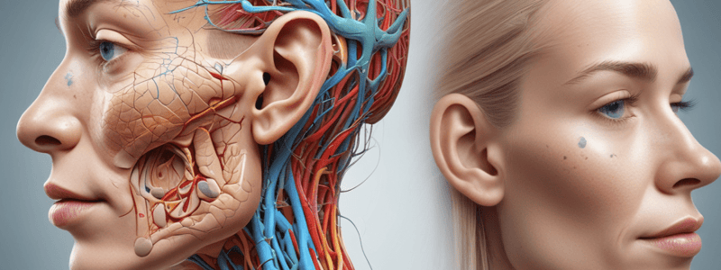 Facial Nerve Grading System Quiz