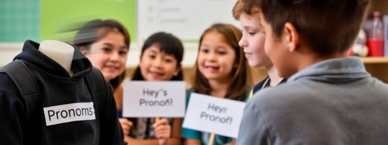 Student Pronouns and Names Quiz