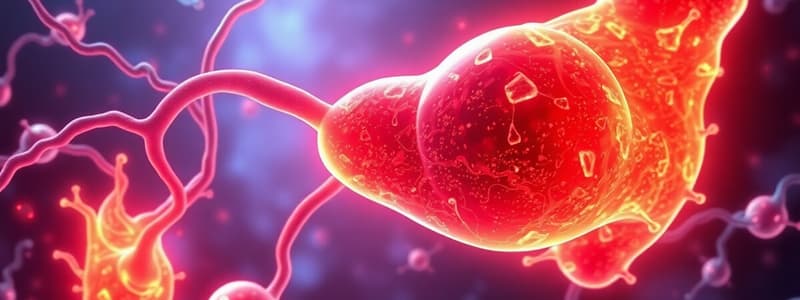 Glucagon and Blood Glucose Regulation