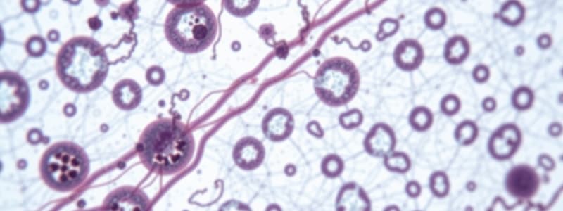 Epithelial Tissue Overview