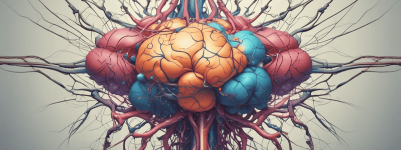 Muscarinic Receptors Overview