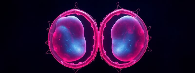 Cell Division: Meiosis