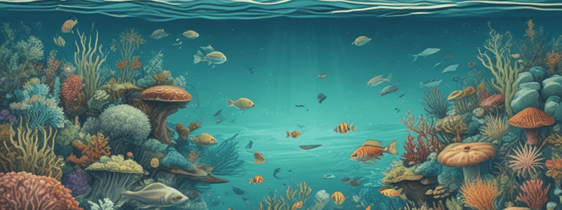 Marine Ecosystems Quiz