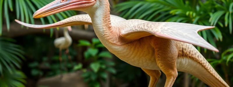 Visual Matching: Pteranodon & More