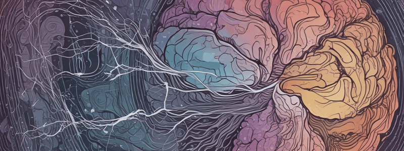 Ablation Studies in Neuroscience