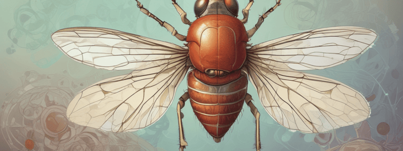 Drosophila Genetics and Biotech: Gene Notation