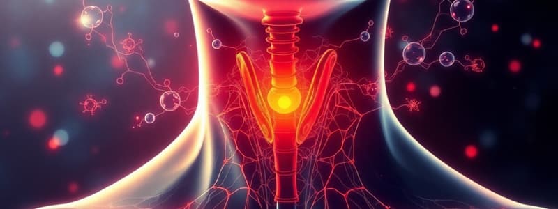 Endocrine System: Thyroid and Pancreas