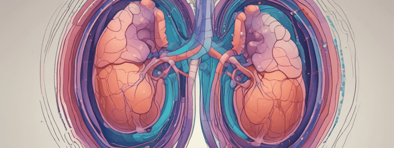 Renal Physiology: Tubular Structure and Function