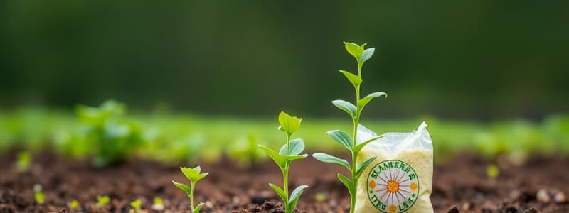 Types of Fertilizers Overview