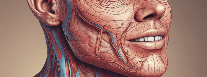 Integumentary System Overview Quiz