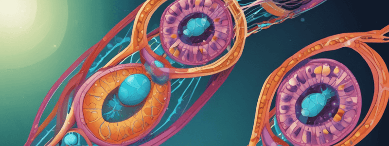 Cell Division and Gamete Formation