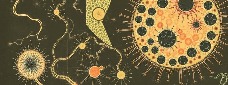 Prokaryotic vs. Eukaryotic Cells