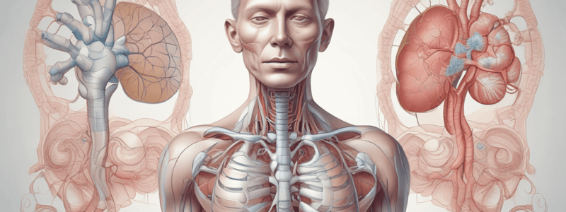 The Respiratory System Quiz