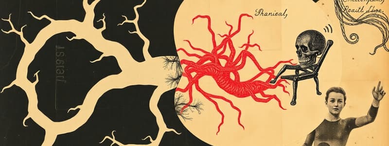 Development of the Nervous System