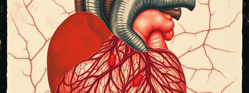 Cardiac Muscle Histology