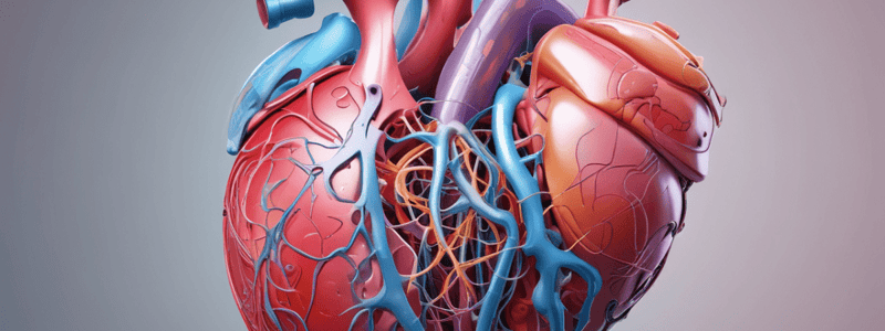 Ch 13 - part 1  Anatomy: Semilunar Heart Valves Quiz