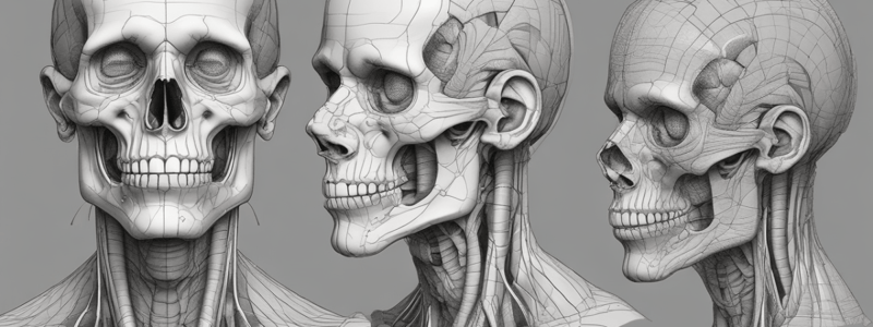 Anatomy Study Techniques and Methods