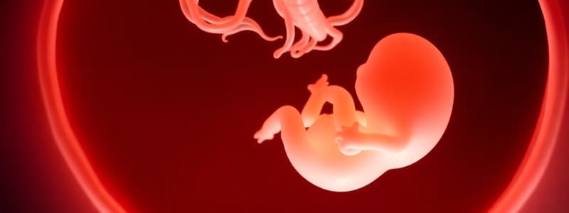 Etapas del Desarrollo In Utero - Periodo Embrionario