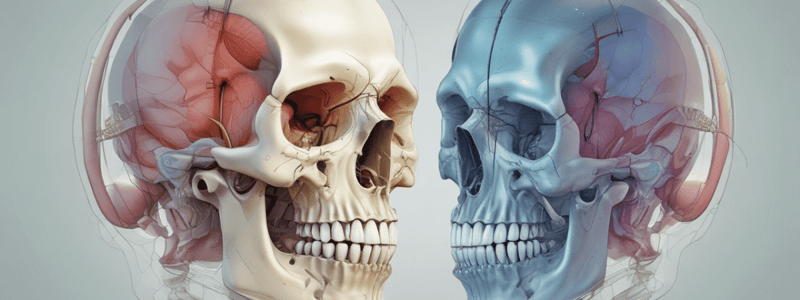 Anatomia Bucal - Plano de Camper