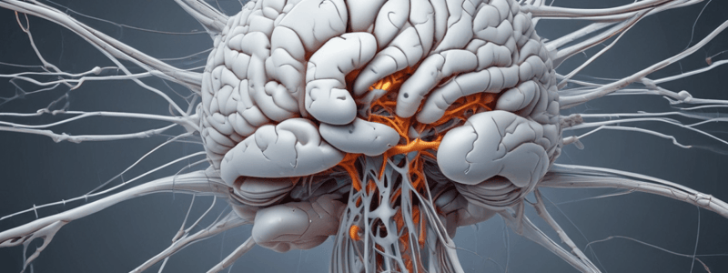 Neuroanatomy: White Matter and Grey Matter Quiz