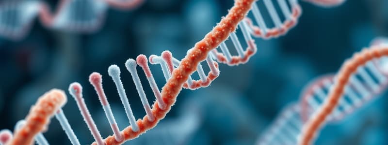 Biology: mRNA Translation Process